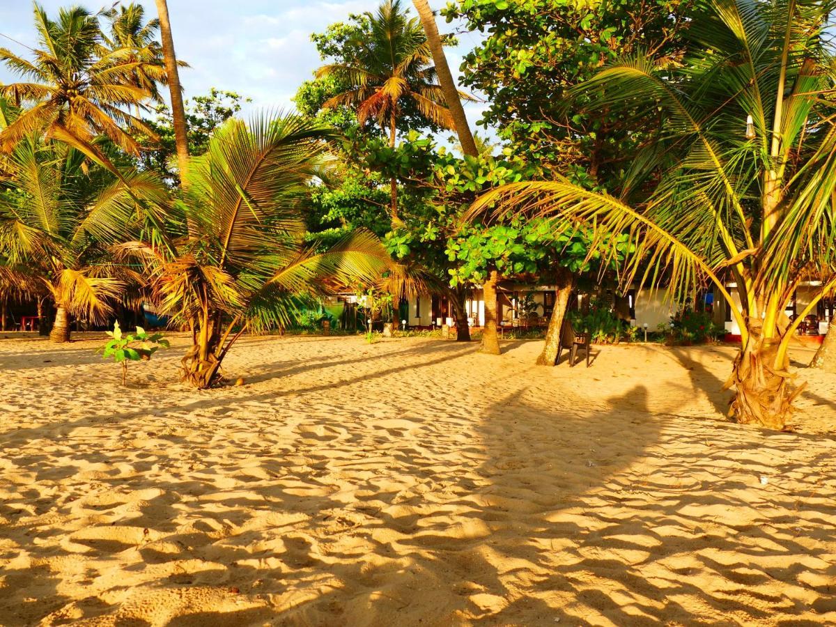Marari Sealap Beach Villas マラリクラム エクステリア 写真