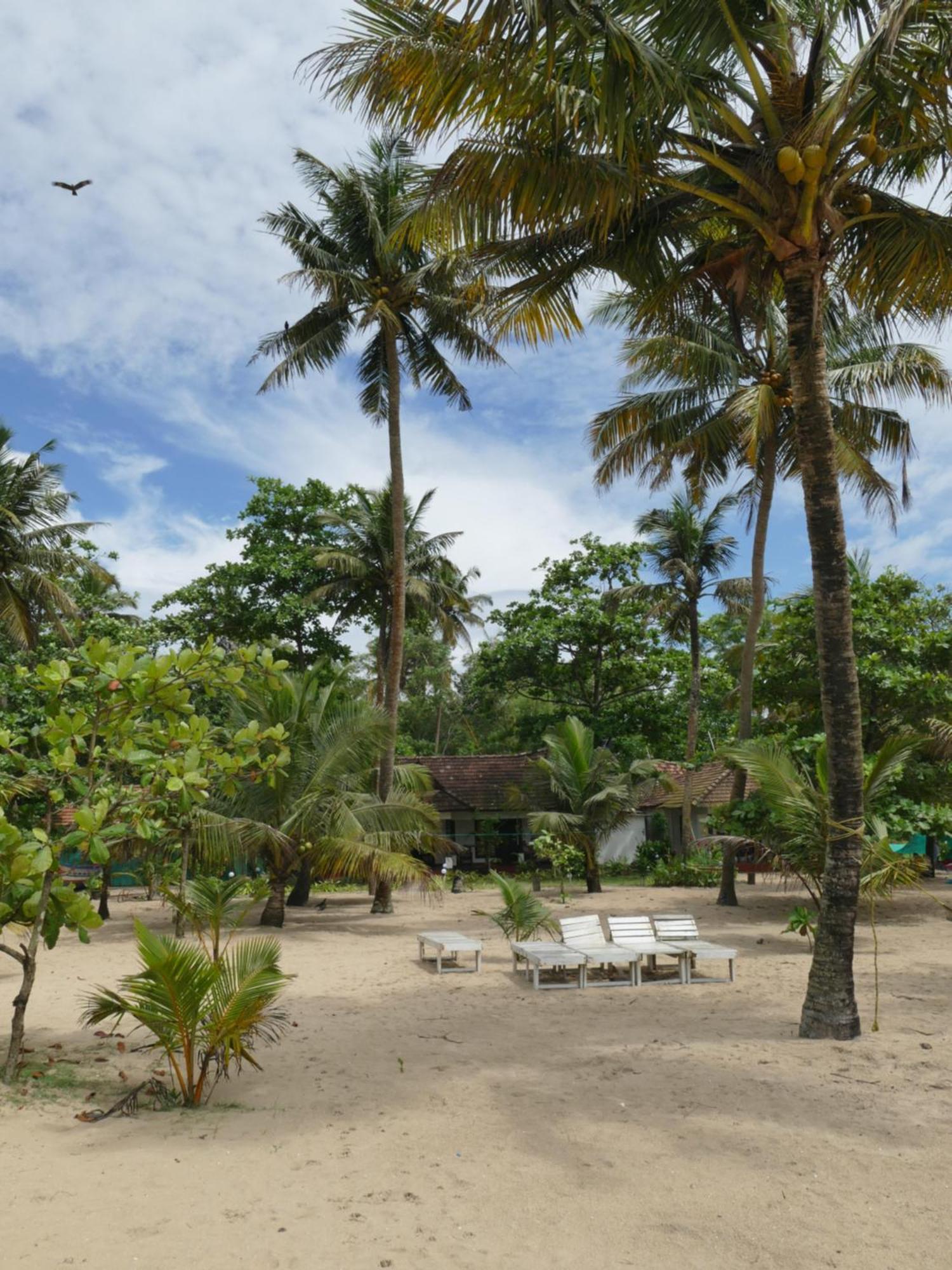 Marari Sealap Beach Villas マラリクラム エクステリア 写真