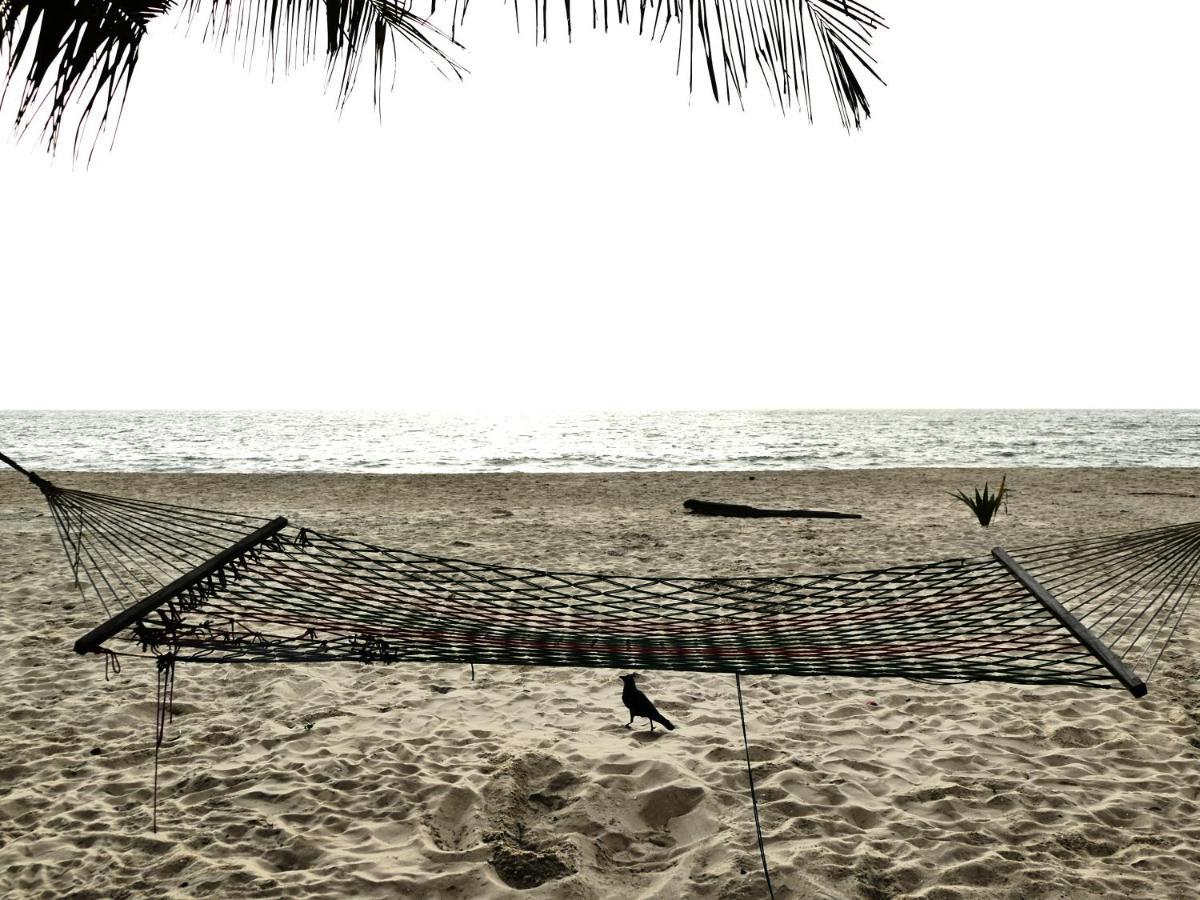 Marari Sealap Beach Villas マラリクラム エクステリア 写真